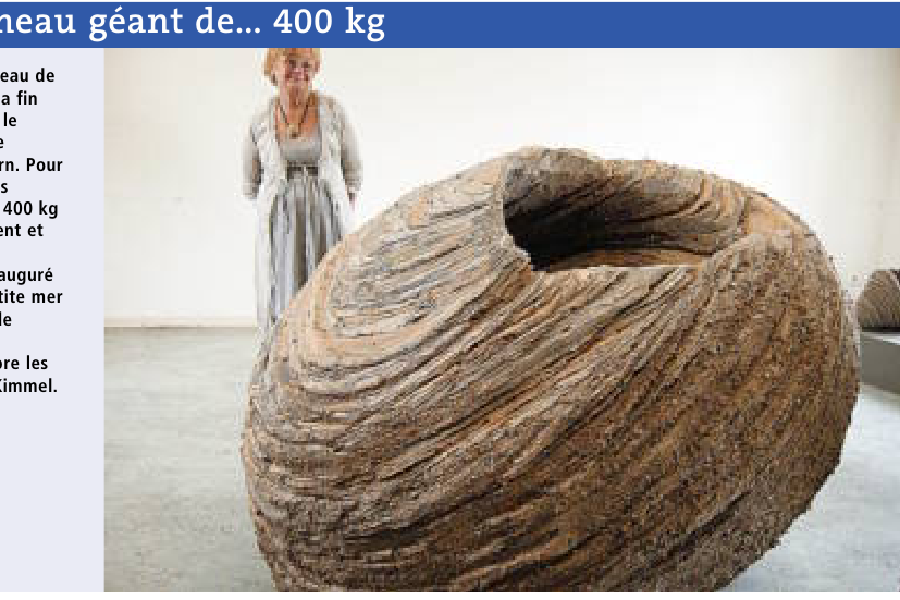 article du telegramme du 12 aout sur l exposition a riantec